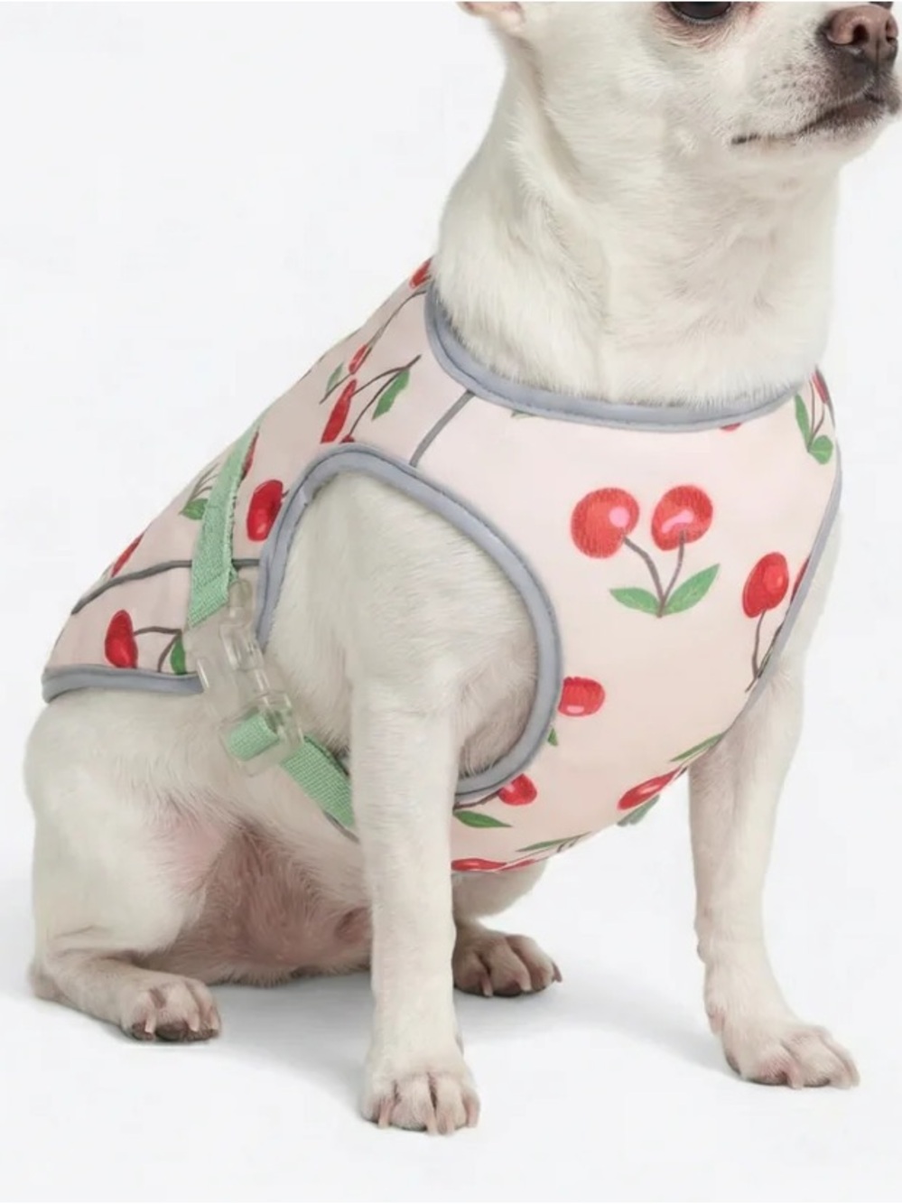 NEW Spark Paws Medium Cooling Vest Cherry Print Dog Harness Pink NWT